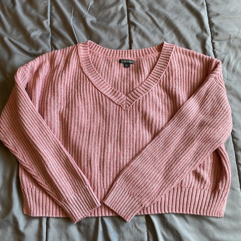 Wild Fable Cropped V-neck Sweater